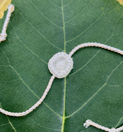 Rakhi
